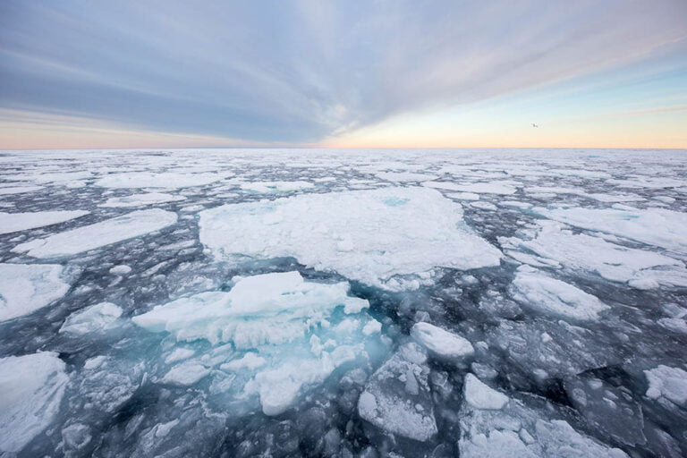 Svalbard Polar Bear Photo Tour - Sailing Expedition in the Arctic Circle