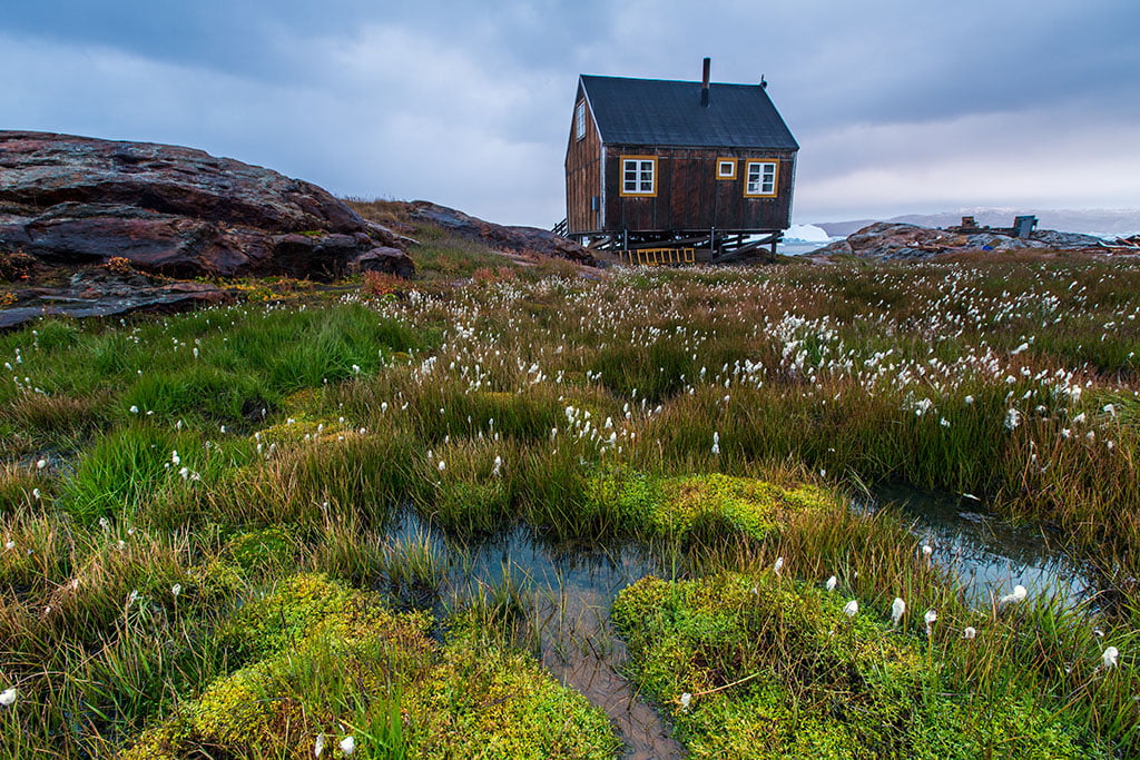 House - Arctic Exposure